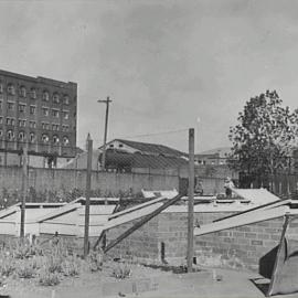 Council nursery, Bay Street Ultimo, 1936
