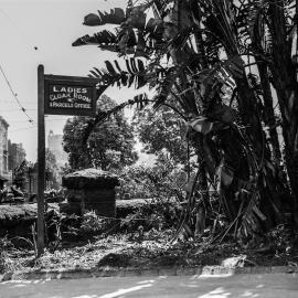 Plants damaged during Harbour Bridge opening celebrations, Hyde Park, Sydney, 1932