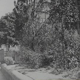 Damage to Hyde Park during Harbour Bridge opening celebrations, Park Street Sydney, 1932