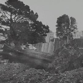 Removal of Fig Tree in Hyde Park, Liverpool Street Sydney, 1932