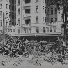 Hyde Park South damaged during Harbour Bridge opening celebrations, Elizabeth Street Sydney, 1932