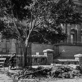 Hyde Park damaged during Harbour Bridge opening celebrations, Elizabeth Street Sydney, 1932