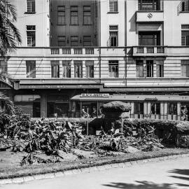 Hyde Park damaged during Harbour Bridge opening celebrations, Elizabeth Street Sydney, 1932