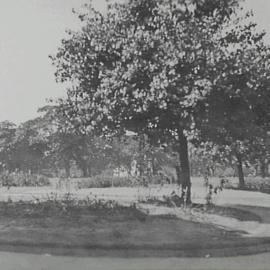 Hyde Park damaged during Harbour Bridge opening celebrations, Elizabeth Street Sydney, 1932