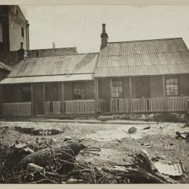 Print - Houses on Bayview Terrace Pyrmont, 1916