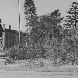 Hyde Park damaged during Harbour Bridge opening celebrations, College Street Sydney, 1932