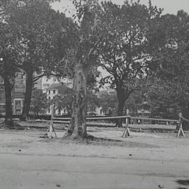 Path reconstruction in Hyde Park South, Elizabeth Street Sydney, 1932