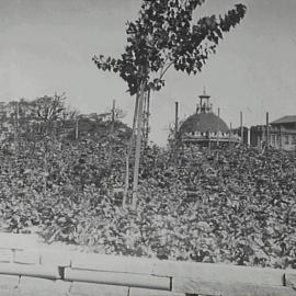 Garden bed in Hyde Park North, Park and College Streets Sydney, 1932