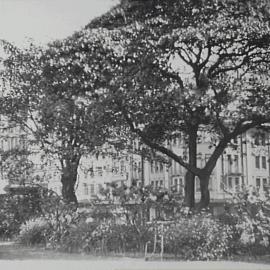Garden bed in Hyde Park North, corner Market and Elizabeth Streets Sydney, 1931