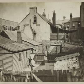 Print - Backyards and houses in Bayview Terrace Pyrmont, 1916