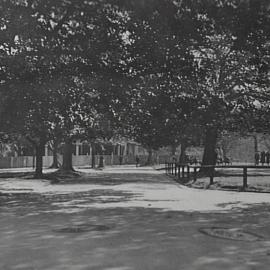 Looking north down pathway, Hyde Park South, Oxford Street Sydney, 1932