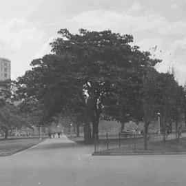 Hyde Park South, looking north west, Park Street Sydney, 1934