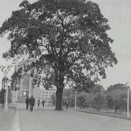 Anzac War Memorial, Elizabeth and College Streets Sydney, 1934