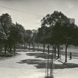 View showing tree-lined Waratah Street in Rushcutters Bay Park, Waratah Street Rushcutters Bay, 1939