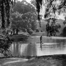 Man cleaning lake in Victoria Park Camperdown, 1930