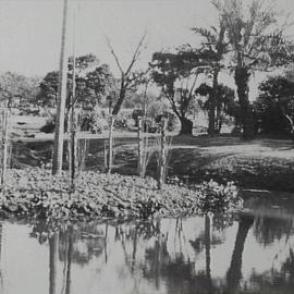 Victoria Park Lake, pruned trees on island, corner Parramatta Road and City Road Broadway, 1930