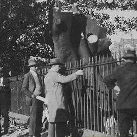 Men at fence near Victoria Park, Parramatta Road and City Road Broadway, 1930