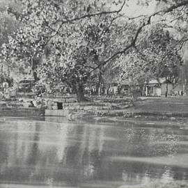 Victoria Park Lake, view of trees, corner Parramatta Road and City Road Broadway, 1934