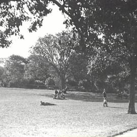 Victoria Park, view of trees and people, corner Parramatta Road and City Road Broadway, 1931