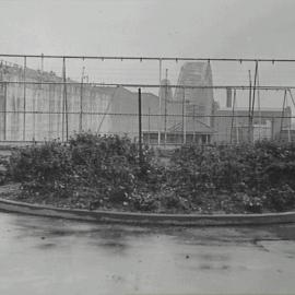 Damaged flower beds, King George V Memorial Park, York Street Sydney, 1937