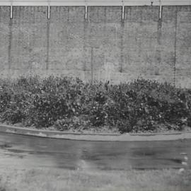 Damaged flower beds, King George V Memorial Park, York Street Sydney, 1937