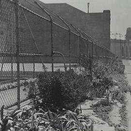 Landscaping of plants and rockery, King George V Memorial Park playground, York Street Sydney, 1937