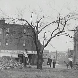 Tree moved to York Street North, Little Essex Street Sydney, 1936