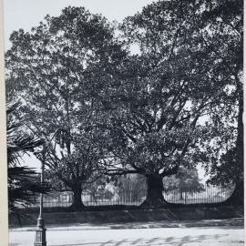 Print - Macquarie Street North widening, Sydney