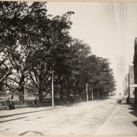 Print - Streetscape with Sydney Botanic Gardens, Macquarie Street Sydney, no date