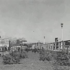 Showing new plantings in King George V Memorial Park, York Street North Sydney, 1937