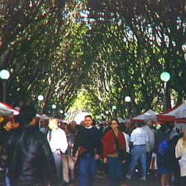 View down main avenue of trees at Hyde Park North, Sydney, 2000