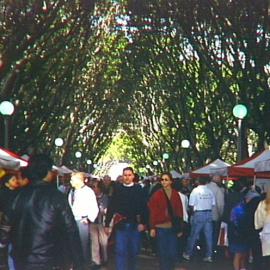 View down main avenue of trees at Hyde Park North, Sydney, 2000