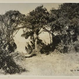 Print - Vacant block, Billyard Avenue Elizabeth Bay, 1940