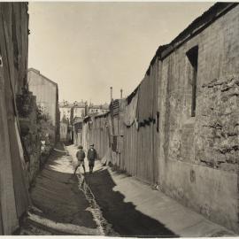 Print - Laneway with Blackwattle sewer drain near Howard Street Ultimo, 1906