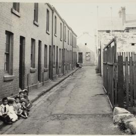 Print - Buildings and backyard along Stephen Street Surry Hills, 1906