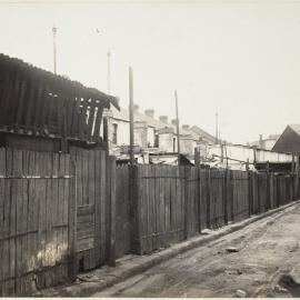 Print - Backyards and houses on Wexford Street Surry Hills, 1906