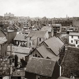 Print - Wexford Street resumption area in Surry Hills, 1906