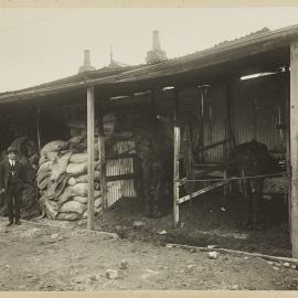 Print - William Vogwell, Inspector of Nuisances at Stables in Brown Street Camperdown 1922