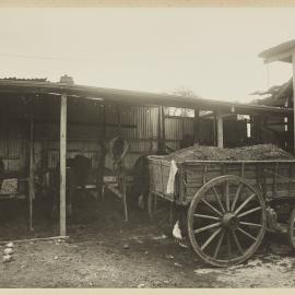 Print - Stables in Brown Street Camperdown 1922