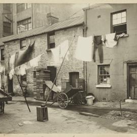 Print - Houses along Seals Place Pyrmont, 1922