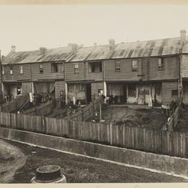 Print - Terrace houses along Susan Street Annandale, 1923