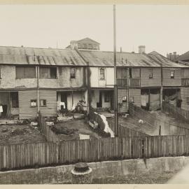 Print - Terrace houses on Susan Street Annandale, 1923