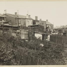 Print - Houses and backyards in Water Street Camperdown, 1923