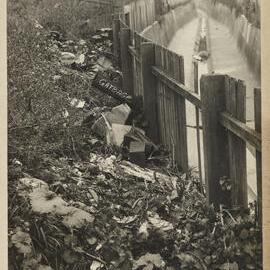 Print - Garbage and open drain in Water Street Camperdown, 1923
