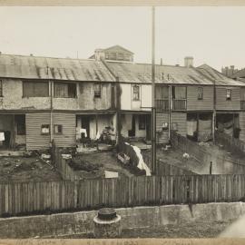 Print - Terrace houses on Susan Street Annandale, 1923