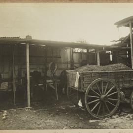 Print - Stables in Brown Street Camperdown 1922