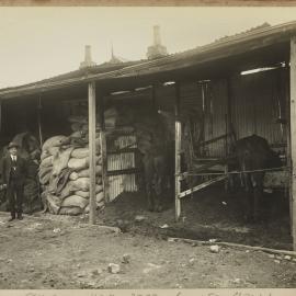 Print - William Vogwell, Inspector of Nuisances at Stables in Brown Street Camperdown 1922