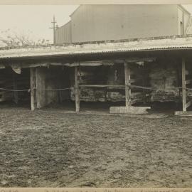 Print - Stables, Denison and Bishopgate Streets Camperdown, 1922