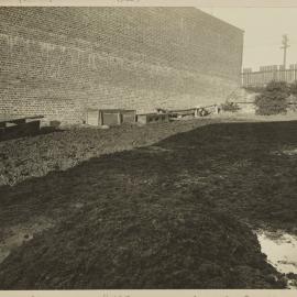 Print - Ferns yard in Gordon Street Camperdown, 1922