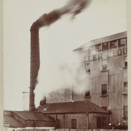 Print - Victoria Roller Flour Mills in Haymarket, 1901